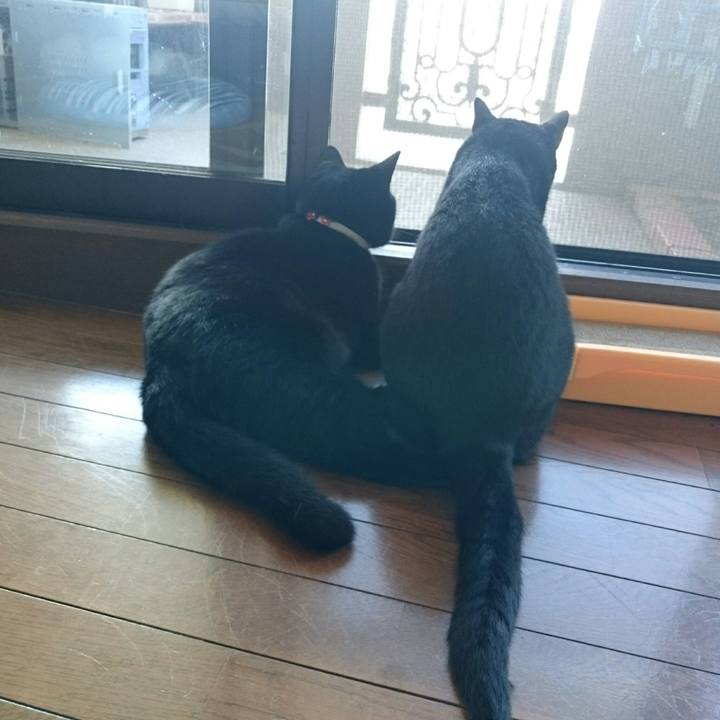 9438b69a 7d3a 4f23 965f dbc7e79ed651 1530488898162