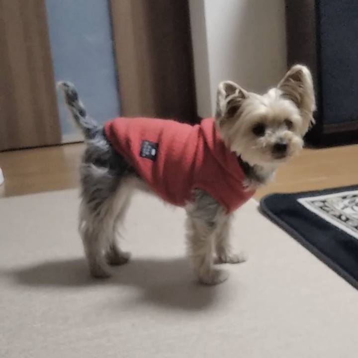 9438b91a 9ce2 47ed b329 1ac36f8cb73c 1710832994063