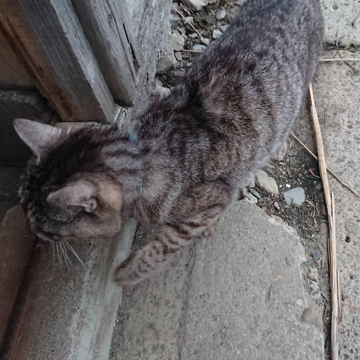 9438d2b6 fe79 4e30 9fc1 fb521ee992be 1555491638292