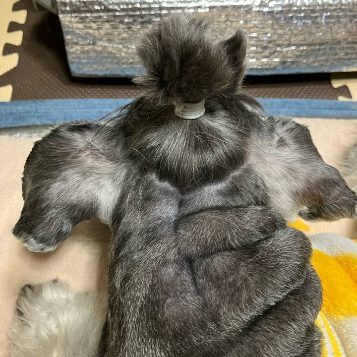 943929bd da95 4da5 86a0 89e77a842ab3 1734174516150