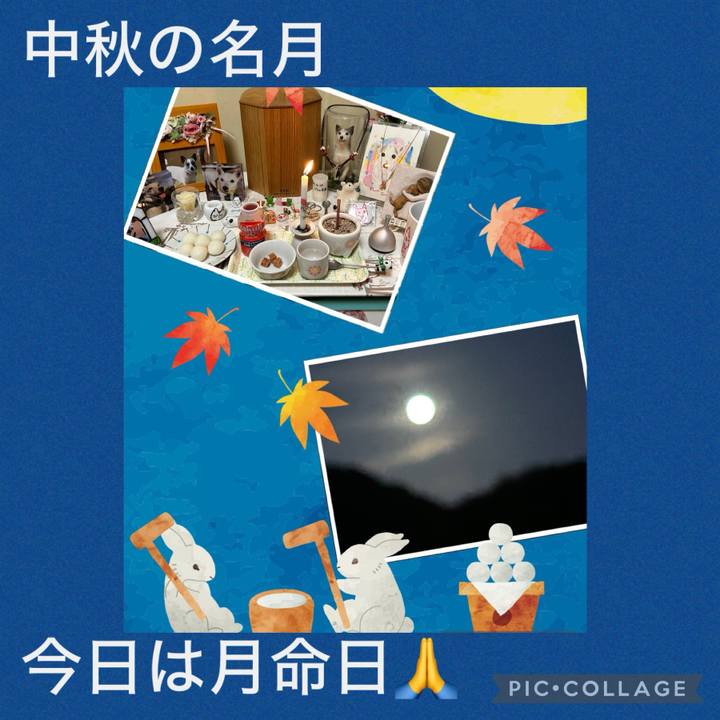 943930ef 5519 4c19 b58e b4f1c3d14d41 1726573751166