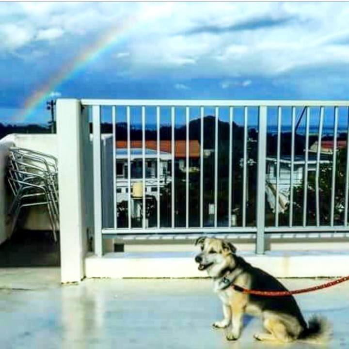 94396b8e 3082 44b6 9761 22139c09efcd 1510974223252