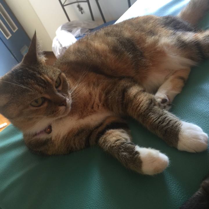 9439b245 58fd 4aa8 8126 2ca519d3c007 1567916308934