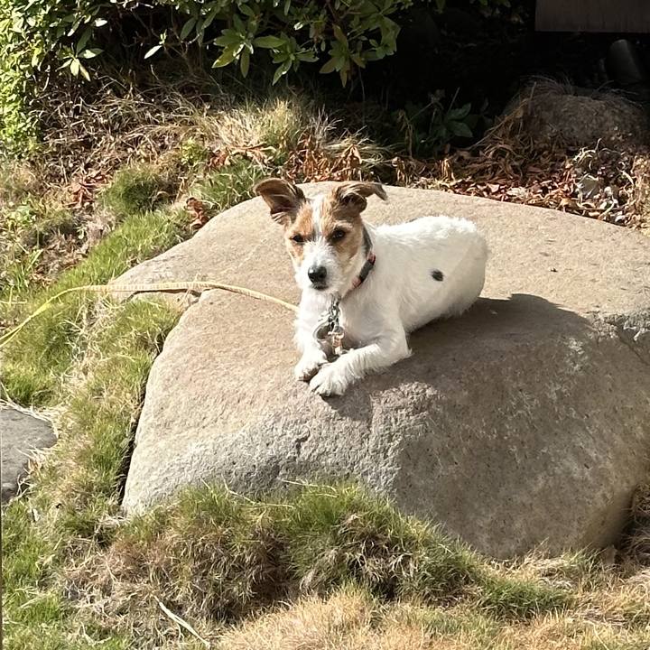 9439ef3e 0ae4 43a0 8c3d 21f923ba40fd 1763265402858