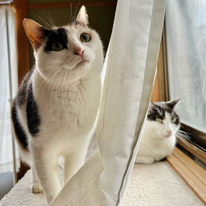 943a49df 6035 4515 94d9 bf09657097c2 1708222217747