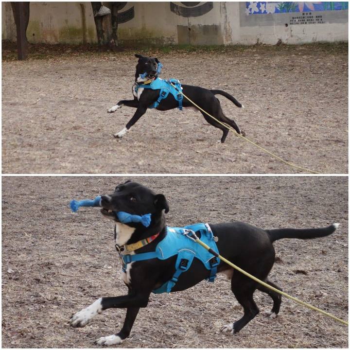 943a7c96 e2b8 41f5 a99b 8b493f8fd160 1612915462097