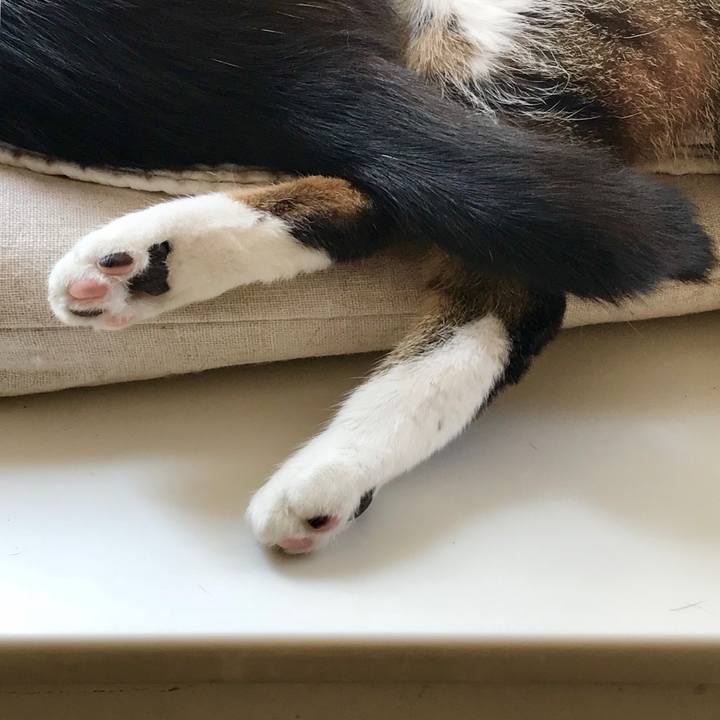 943a9bc4 a0a9 44c5 a976 d1037cd3558b 1522305972832