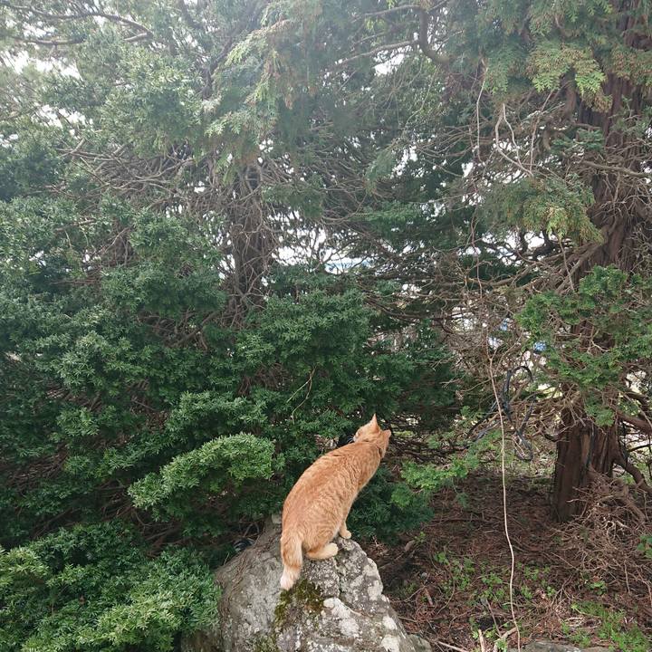 943ad30a 8277 4131 b2a2 2092fa33e97f 1650252075459