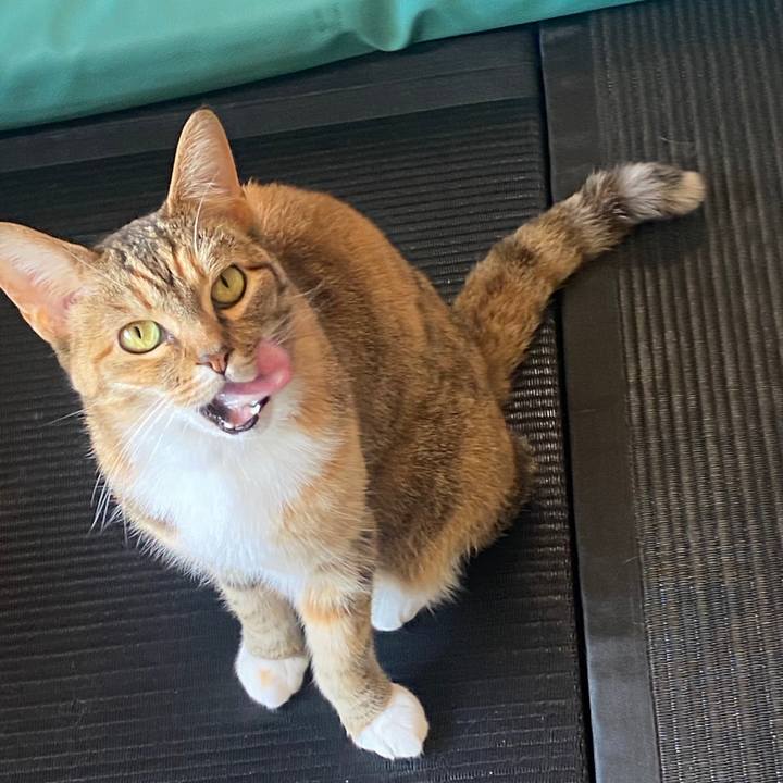 943b0964 d9e5 4a1c ab8f 6c6b352d2a9f 1587871269044