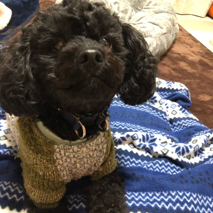 943b15c0 1dbd 4cc5 b185 ca57f58e9016 1548745577646