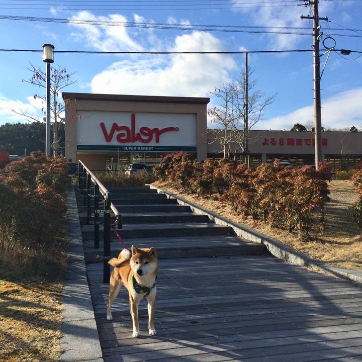 943b5a0b 7959 4947 9883 57dd48fa8598 1515829746644