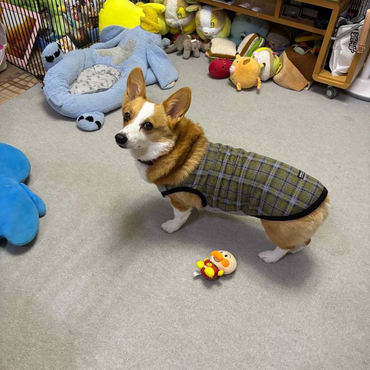 943b7060 f308 454f 987f ff46bd3bd2a0 1760451086752