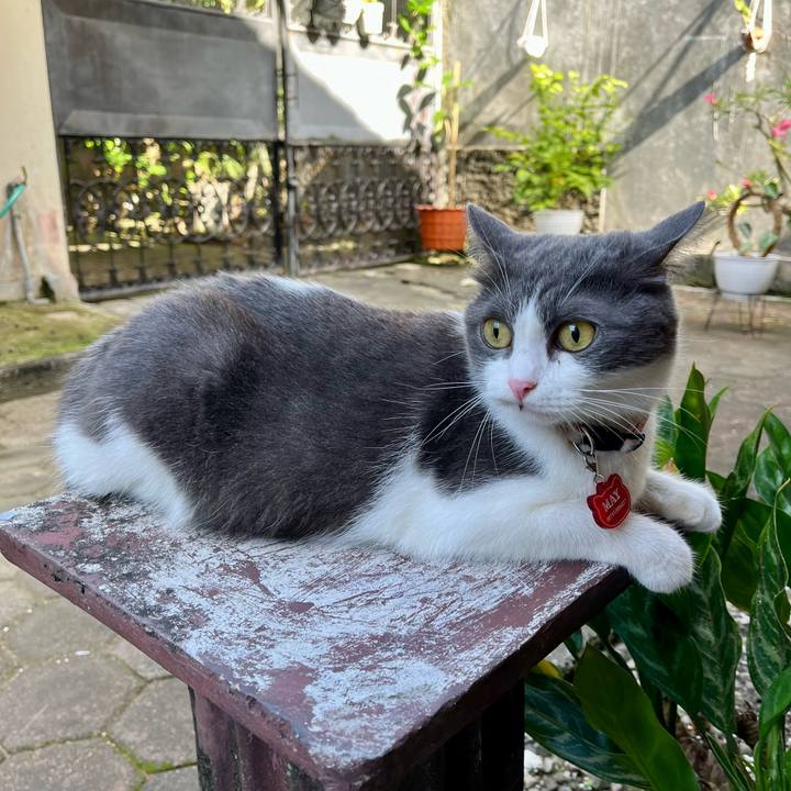 943b7251 49ea 4383 819c cc71ac3b9d21 1763362322536