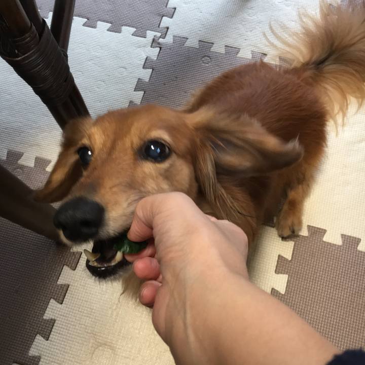 943b94b3 7afd 4ad4 b1d6 b32c10864e2e 1551447874487