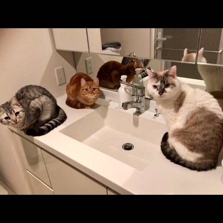 943be115 dd0c 4aed b810 f2ff4661714a 1516315853108