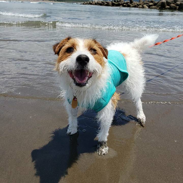 943be717 e52e 49db b16d 001139cec1e0 1592749675139