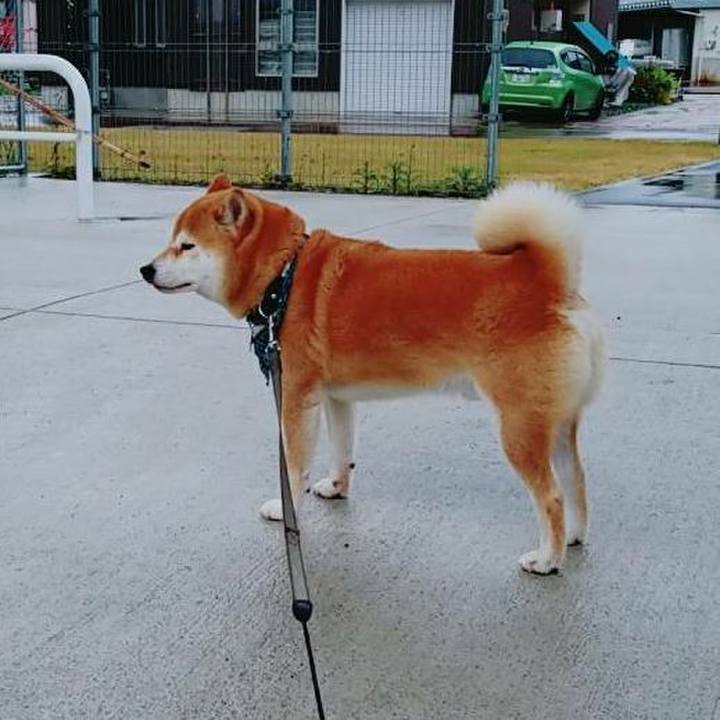 943bf753 cf43 4f6c a85a 683a058bd449 1509260160346