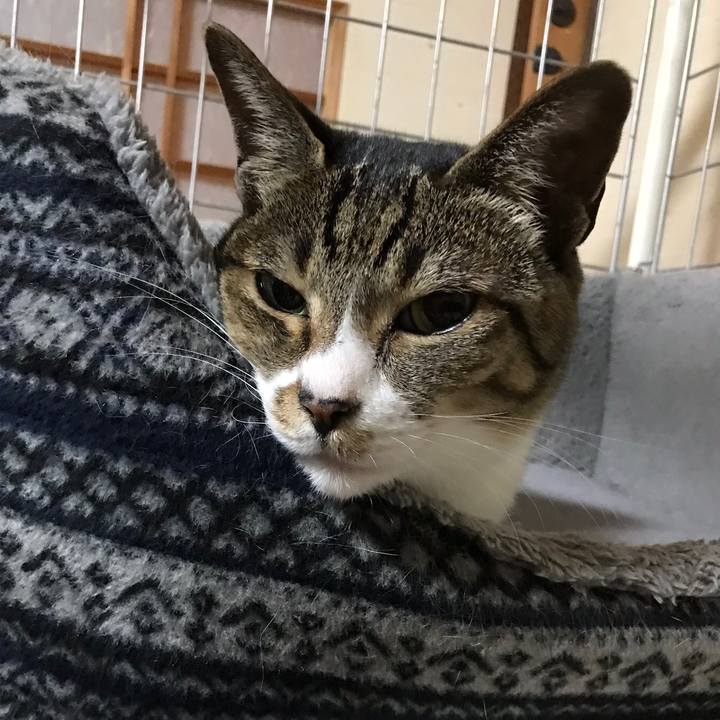 943bfc29 979b 4aca a191 55f4a0677c96 1512006035667