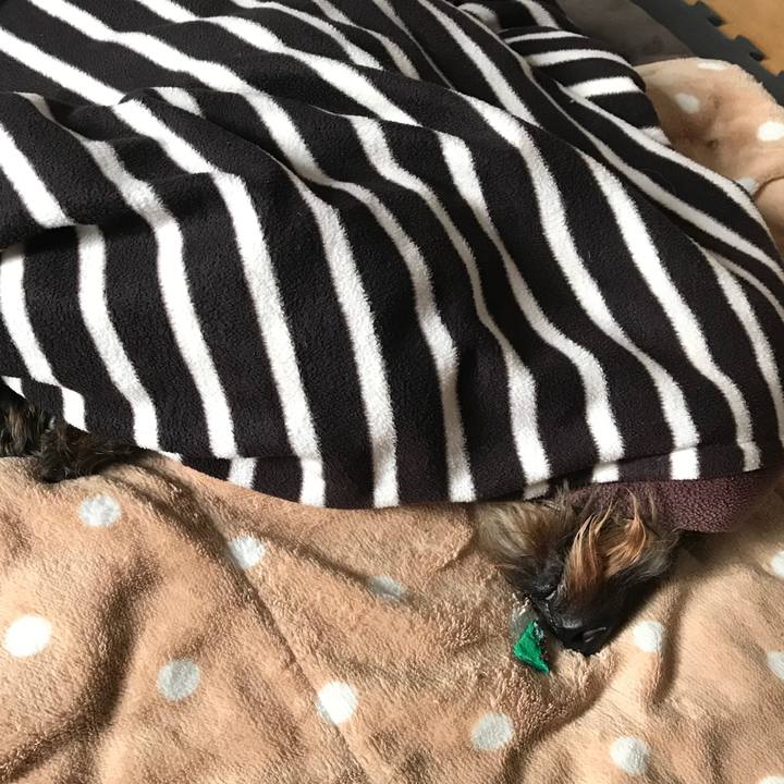 943c0a68 2e46 4178 b0f7 f21191415750 1550885941481