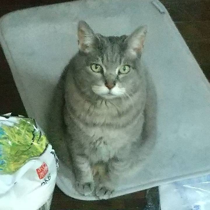 943c14a3 b0f5 4df6 a688 4465e94c04a7 1616199174742