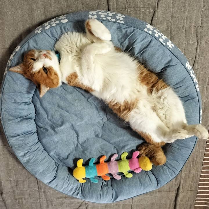 943c1fe0 6f9c 49da bc67 0c5aed328488 1722211847671