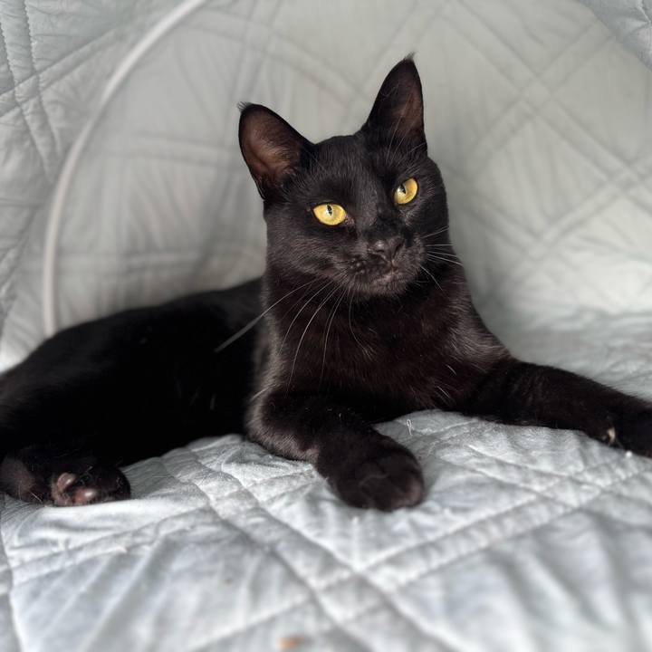 943c20b1 d8af 4334 9792 1b7e49b8a311 1753685578752