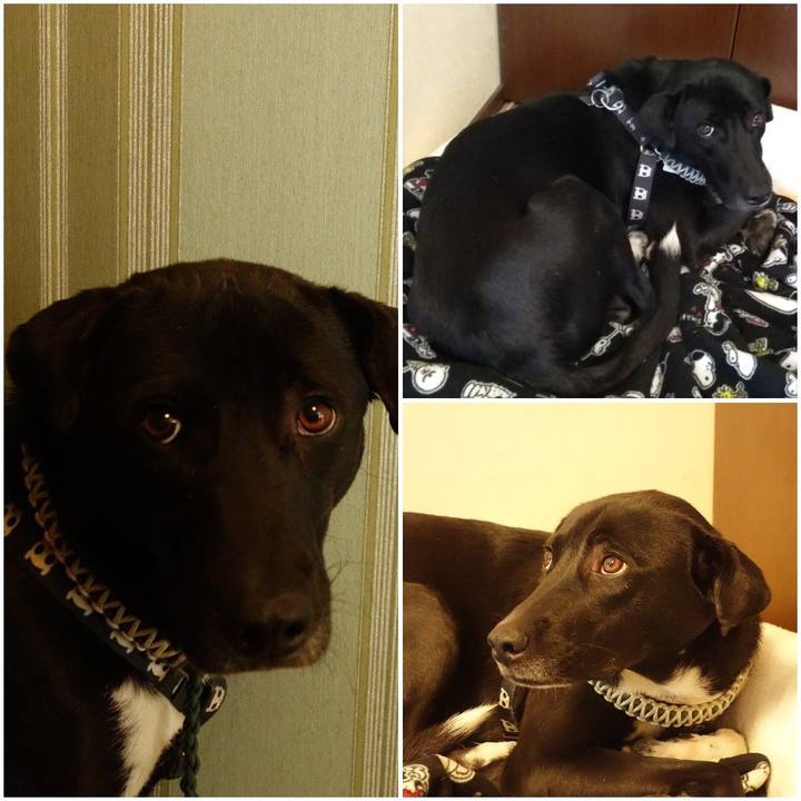 943c2391 b325 4278 acd1 d34cc2ade635 1611017388192