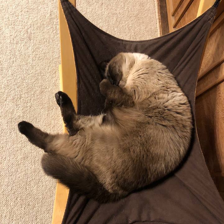 943c6424 c4a2 4978 b06a 9702096d6b98 1622937390294