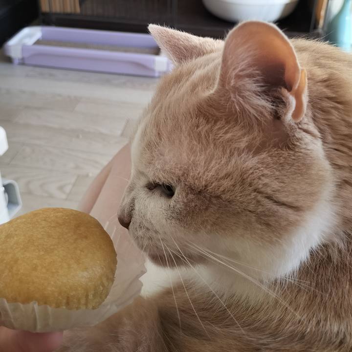 943c7bd5 2a60 4cb4 a7e1 fa2178eaf6dc 1639785789675