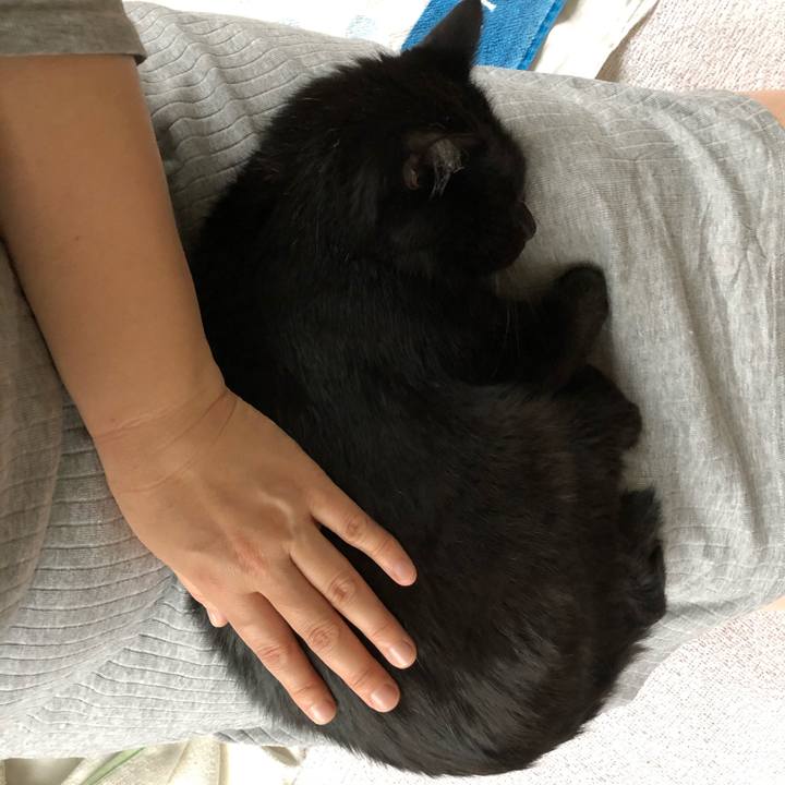 943c8060 cb63 4f96 9b81 f5948488e527 1561666015267