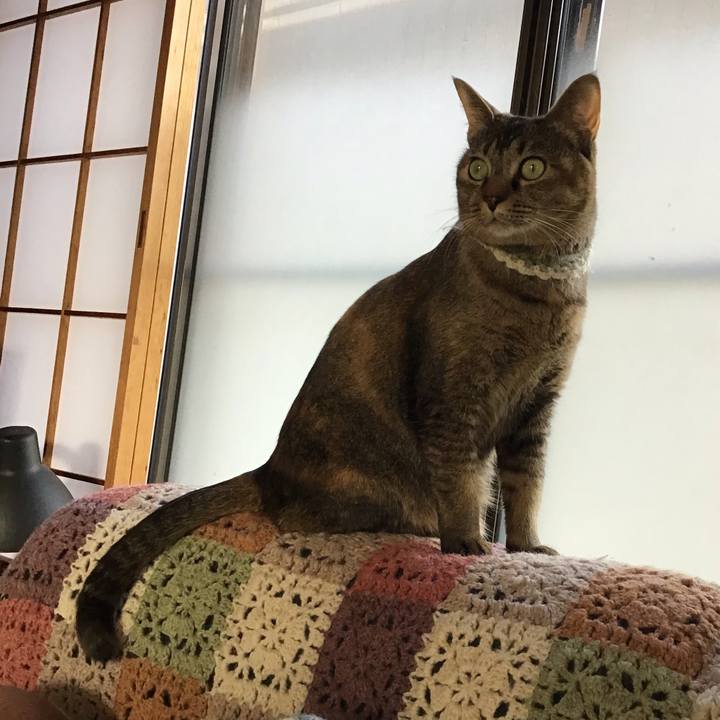 943c8b1c 8c85 464f 887e fc24c99f37d2 1648366370682