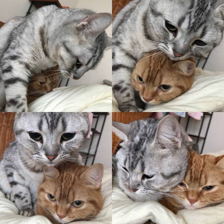 943c97d1 f8fa 4d7e 9762 2001fb836db4 1523227728613