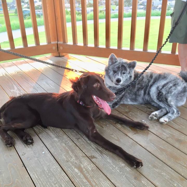 943cbb96 8265 46fb 8d05 4bc65b58fc67 1565469188831