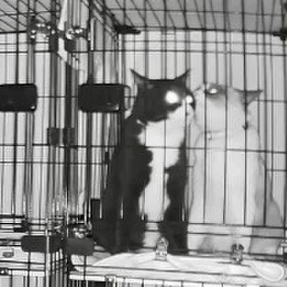 943cd170 4c34 4f78 a5d0 b3a44424a2ee 1733421600017