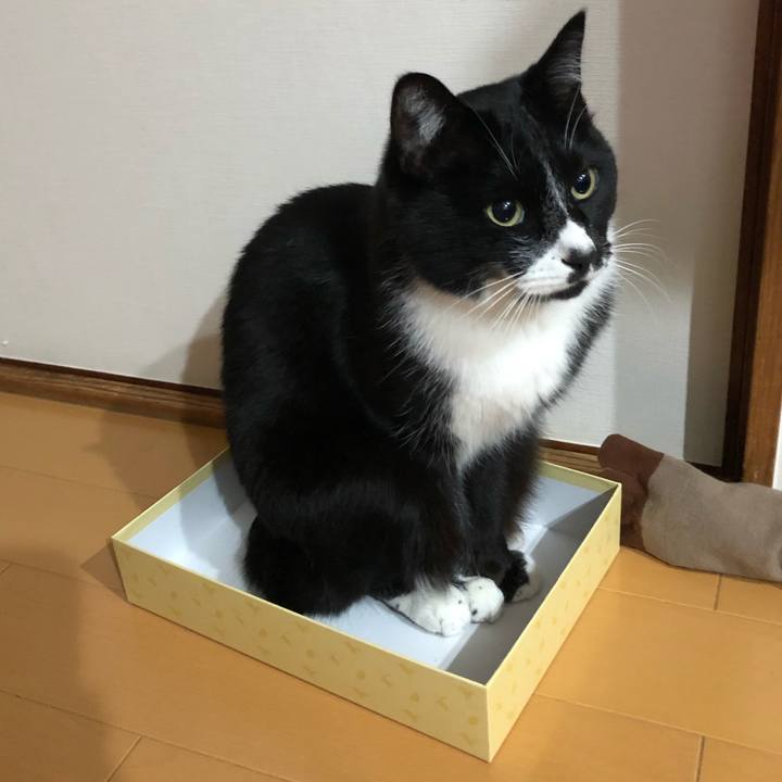 943cefeb 497c 42d8 af1a ffe295256b75 1609127167543