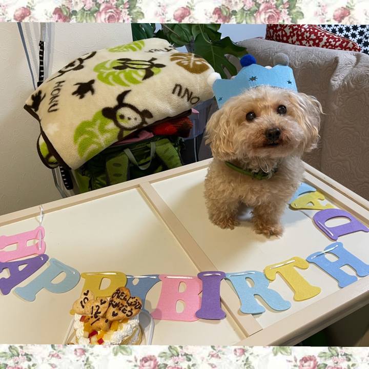 943d2c2b ead4 4f65 b768 b70d24bc4e7d 1627130553616