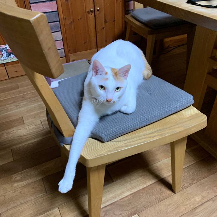 943d5c47 1d1e 4a1b ad1b 3cea72f8ed7f 1555253124450