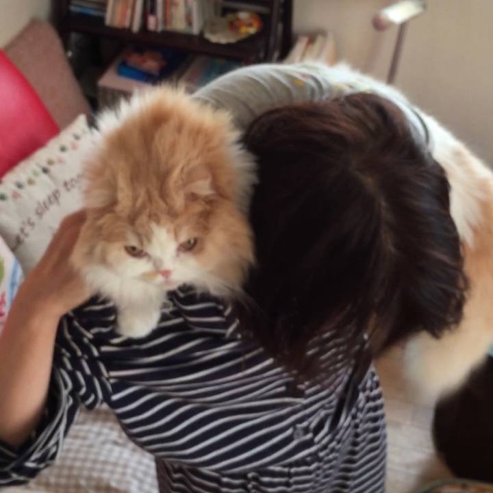 943d5d4a 1c57 45bf 9457 520291f38801 1549186750665