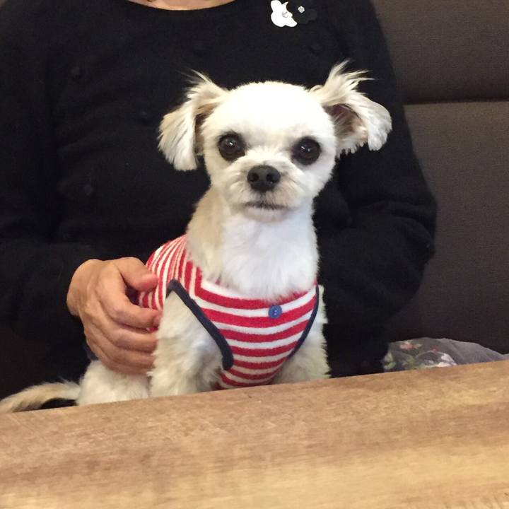 943d66f7 2c8c 4c32 a398 f62ff49267e7 1544266453331