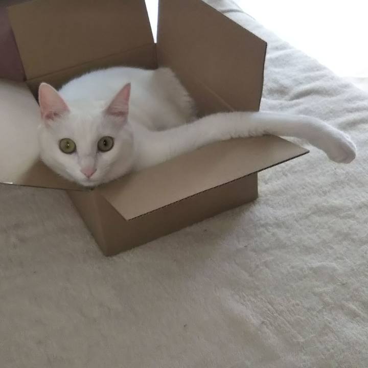 943d6867 2a97 4aa7 92e5 7d84f598f22b 1627704375304