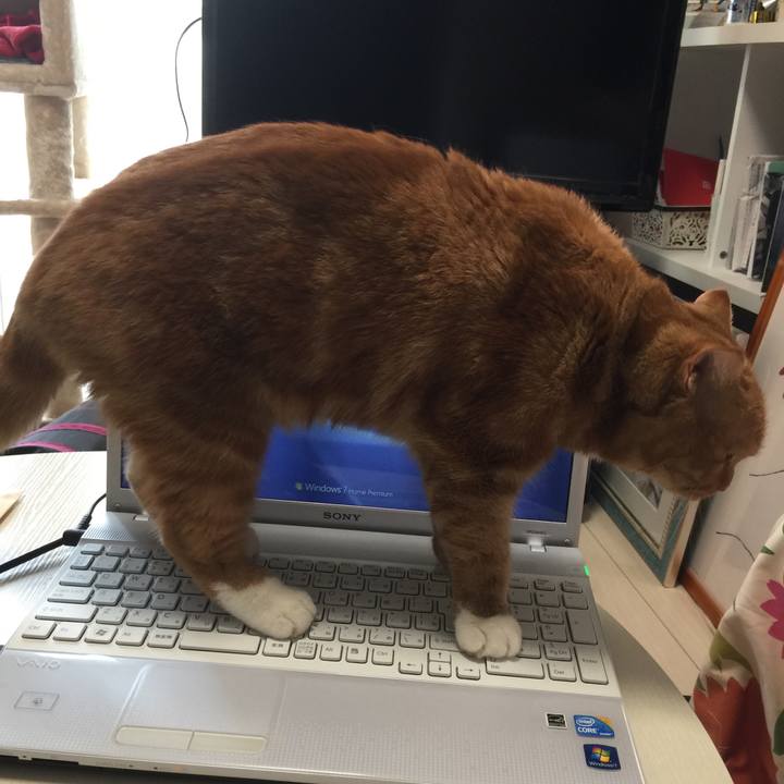 943d6b49 3b6a 4661 af32 0b8e40d08f4d 1563067964169