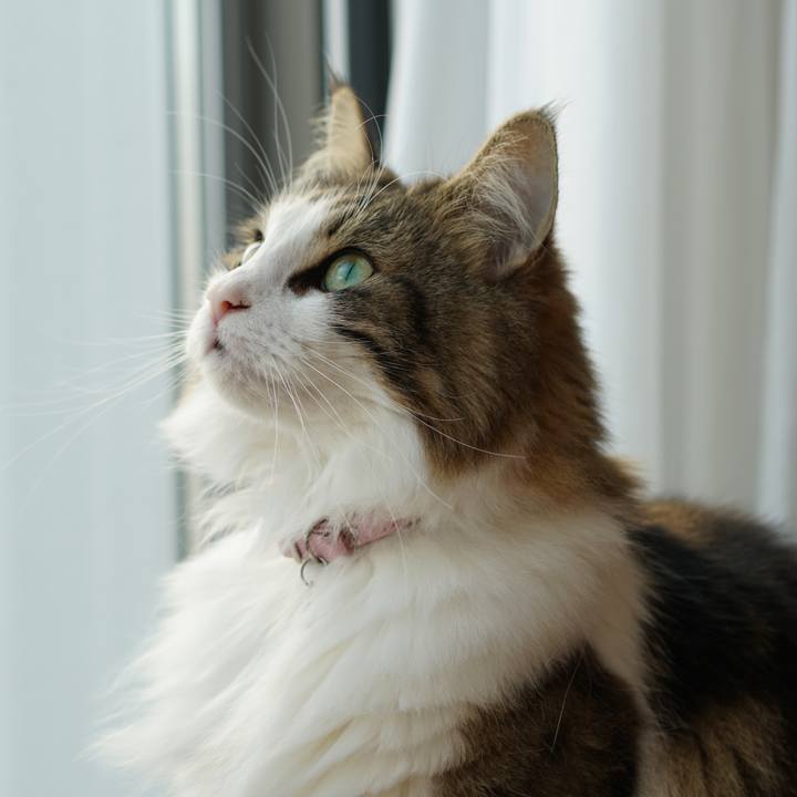 943d7c01 80e4 4f28 9184 a02115c52d1e 1542500942604