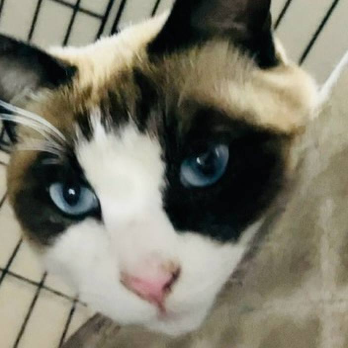 943d7e68 b6e0 4a6f 8dd8 da6f09c4eb80 1733304758326