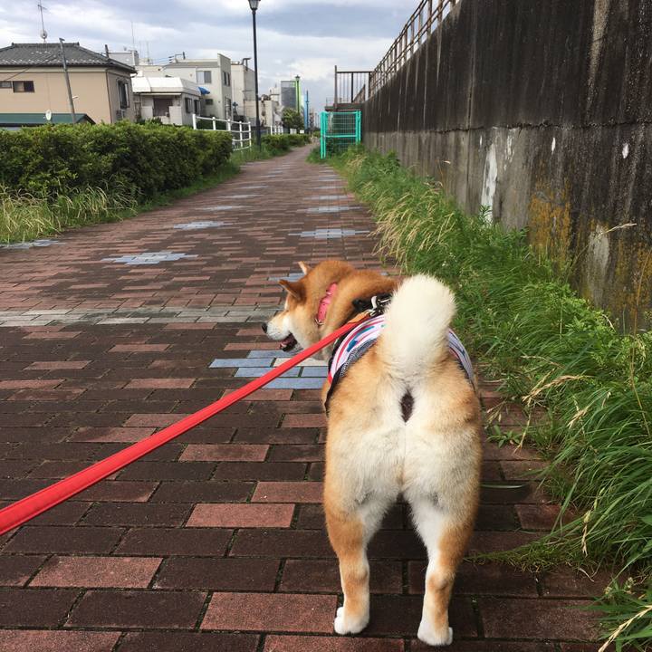 943d8a40 2de6 4d20 a6db fd8c1d50449d 1594079908846