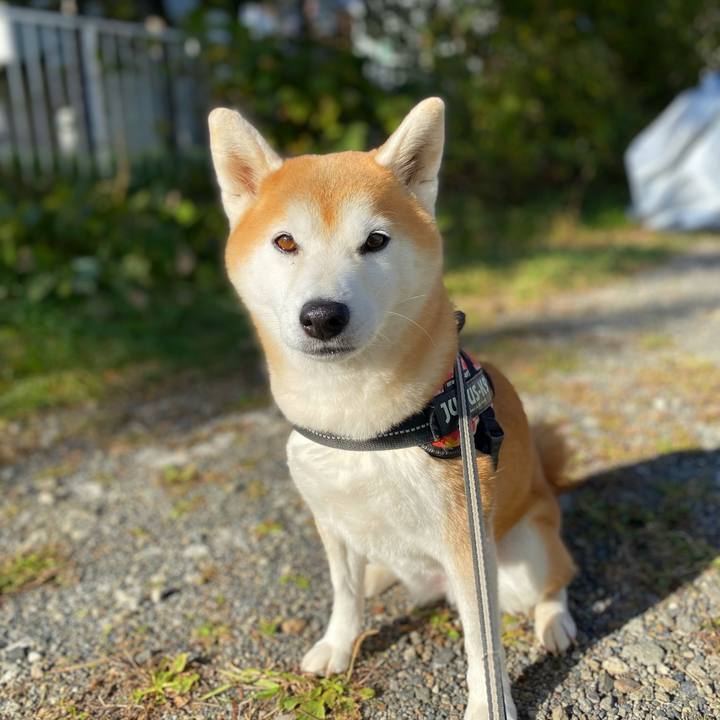 943dde4a dbfd 409b be76 f9932dcb2e7a 1666744809351