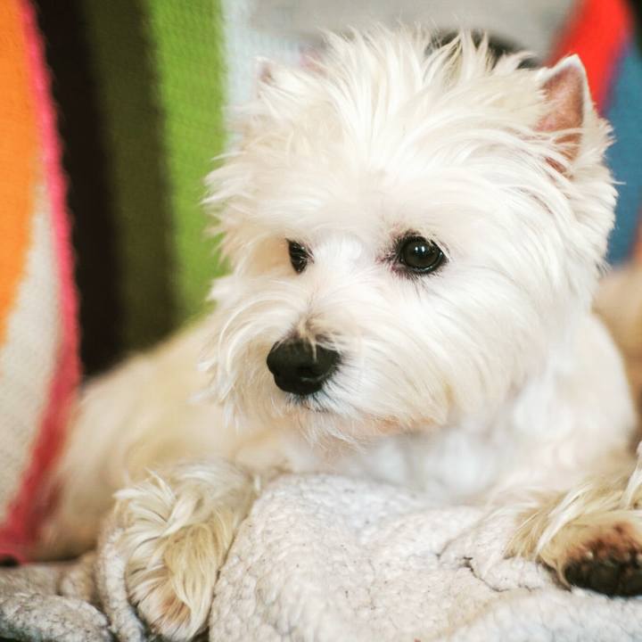 943dedd7 d04e 40a2 ab5c 6414e11a3230 1517837135802