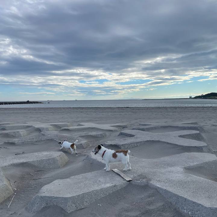 943e48bc d9a7 47e8 89b6 52ca81122d77 1752448192041