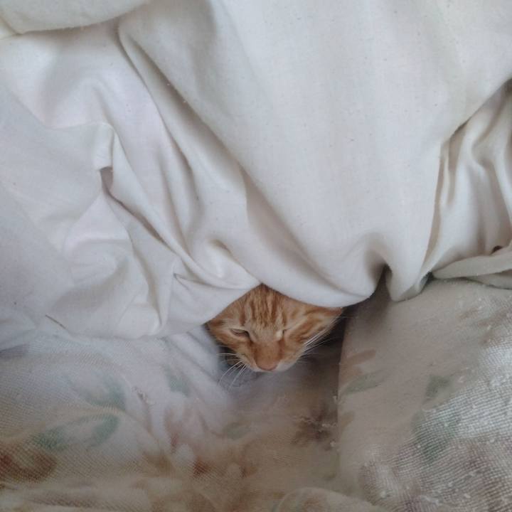 943e4c96 817a 422d 9541 a736038f4ffe 1708671918545