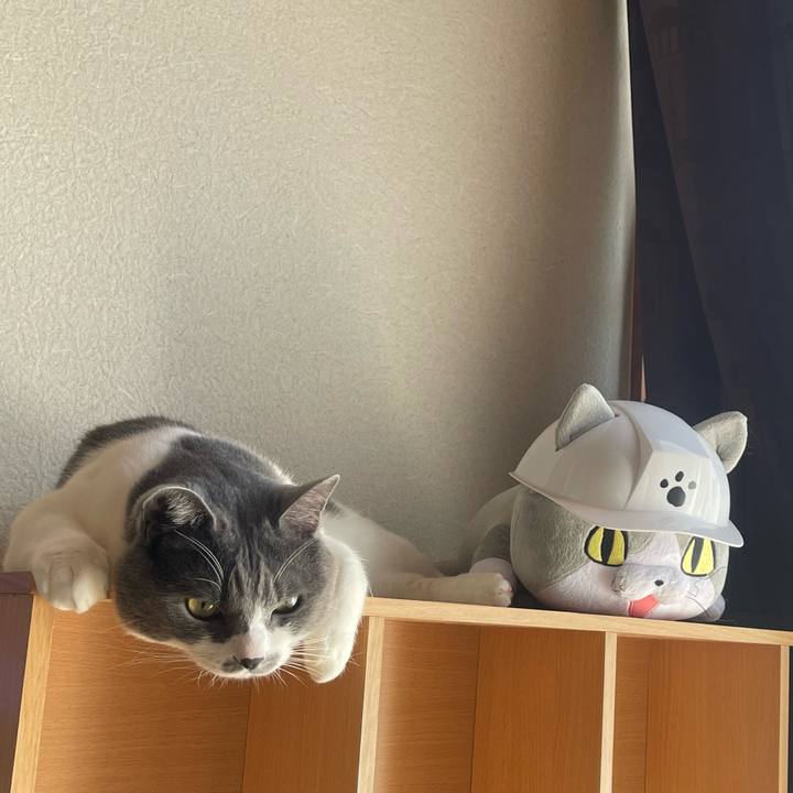 943e77c8 70e1 4381 aaa6 d2b1b30a8258 1679199673785