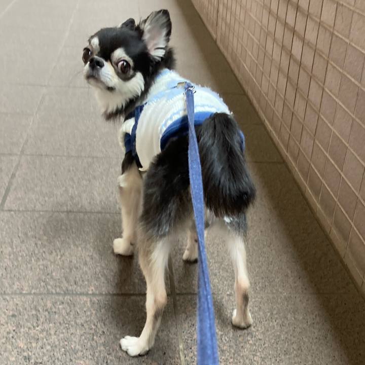 943eb40f cd4c 4e48 99fc 836bbe861e3b 1682142375032